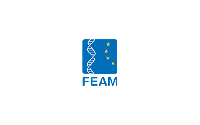 Logo FEAM